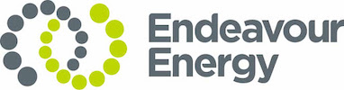 Endeavour Energy Logo